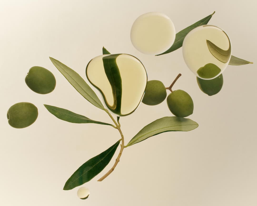 Olive Oil Reduces Risk of Mortality